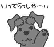 851042955