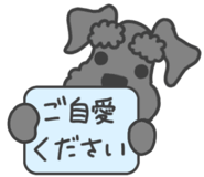 851042958