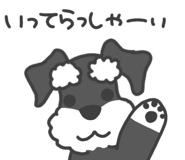 851043035