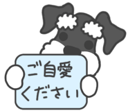 851043038