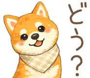 851060956