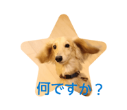 851082609