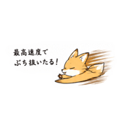 851089994
