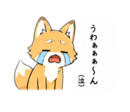 851089998