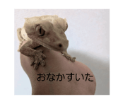 851092418