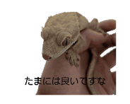 851092422