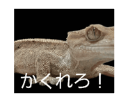 851092424