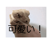 851092431
