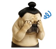 851106070