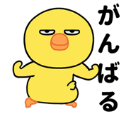 851136374