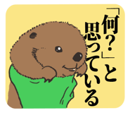 851151795