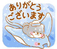 851152897