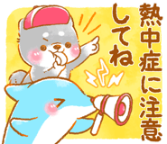851152902