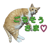 851153350