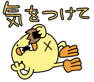 851162156