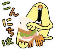 851162162