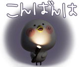 851164797