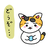851164954