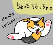 851164969