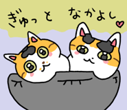 851164976