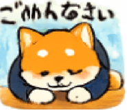 851166134