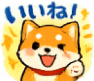 851166135