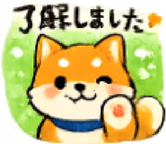 851166141