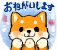 851166142