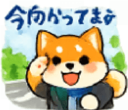 851166143