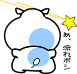 851166243