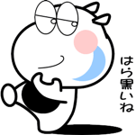 851166250