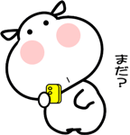 851166257