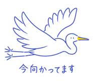 851166467