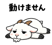 851167184