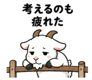 851167202