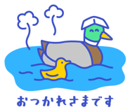 851168212