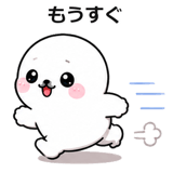 851168605