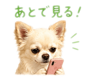 851168873