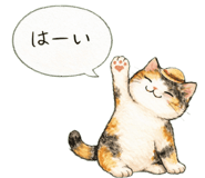 851169403