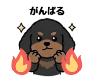 851186651