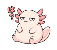 851189338
