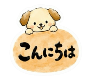 851191626