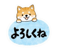 851191631