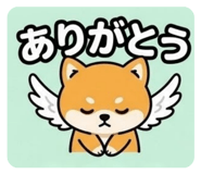 851218314