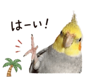 851218368