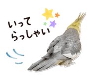 851218378