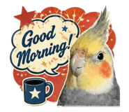 851218386