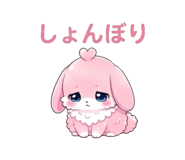 851219066