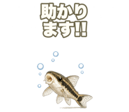 851219499