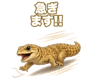 851219992